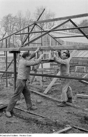 Arbeiter bei der Errichtung eines Gewächshauses