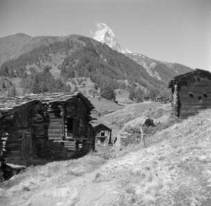 Schuppen