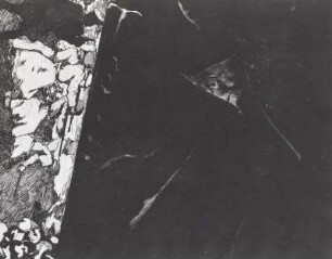 Zyklus
