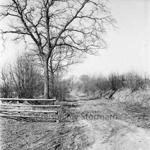 Feldweg Richtung Bundesautobahn A 1: vorn links Gatter: dahinter Baum: rechts und links Knicks