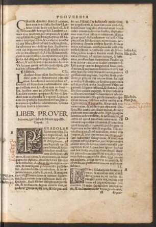 Liber Proverbiorum, quem Hebraei Misle appellant.