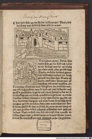 Buch von Troja