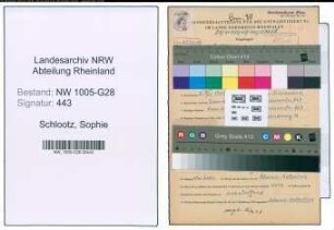 Entnazifizierung Sophie Schlootz , geb. 03.06.1901 (Postsekretaerin)