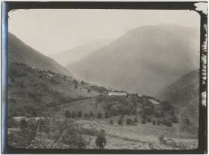 Anbau von Banane, Zuckerrohr und Apfelsine