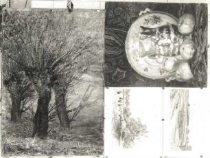 Weiden in Dresden-Loschwitz, Stillleben und zwei Landschaftsstudien : Max Helas (1875-1949.) Weiden in Dresden-Loschwitz (Öl, 1902), Stillleben und zwei Landschaftsstudien (Aquarell, um 1900)