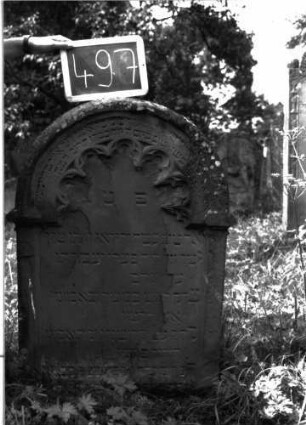 Grabstein 497 (Index: 100102634) Material: Sandstein Zustand: stark verwittert, abgeblättert, teilweiser Textverlust Maße HxBxT: 99x71x14 cm Beschreibung: Stele, Rundbogenabschluss, Schriftfeld eingetieft mit eingezogenem Rundbogenabschluss, im Bogenfeld Maßwerk (Rundbogenfries) Symbolik: Rundbogenfries Besonderheit: kulturhistorisch wertvoll / hist.-wiss. Gründe (Vorsteher): Grabstein 497