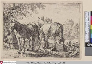 [Drei Pferde und ein sitzender, abgewandter Bauer; Three Horses, to the left a Peasant Seated; Drie paarden en een boer]