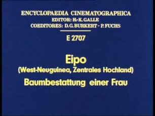 Eipo (West-Neuguinea, Zentrales Hochland) - Baumbestattung einer Frau