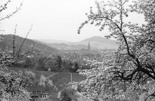 Blick auf Freiburg mit Schönberg durch die Blüten der Eichhalde mit rundem Blütenzweig im Bild