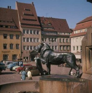 Freiberg. Löwe vom Brunnendenkmal mit dem Standbild des Stadtgründers, Otto dem Reichen, und Teil des Obermarktes