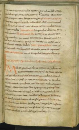 Epistola de febribus