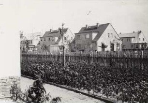 Großzschocher, Thomas-Münzer-Siedlung : Leipzig-Großzschocher. Doppelhäuser der Thoma-Münzer-Siedlung. Straßenansicht