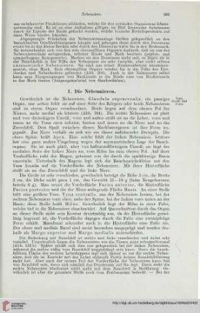 1: Die Nebennieren