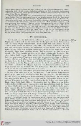 1: Die Nebennieren