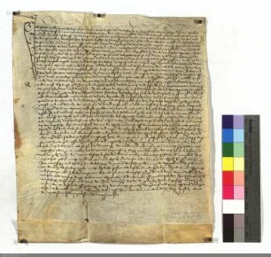 Verkauf mehrerer Renten zu Marburg an den Deutschen Orden