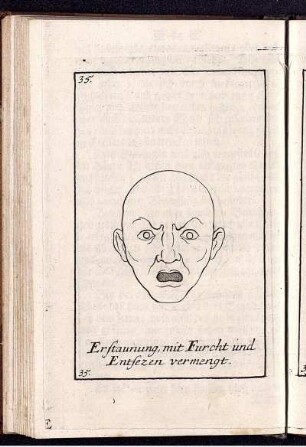 Erstaunung, mit Furcht und Entsezen vermengt.