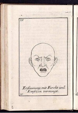 Erstaunung, mit Furcht und Entsezen vermengt.
