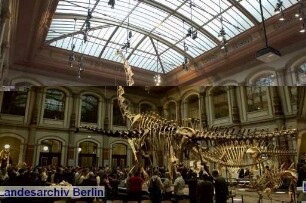 Museum für Naturkunde; Invalidenstraße 43 (Mitte)