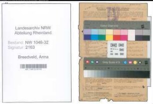Entnazifizierung Anna Breedveld , geb. 12.11.1900 (Hausfrau)