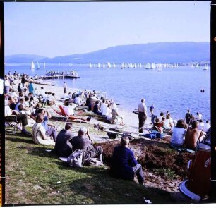 Schluchsee: Segelregatta, ankommende Korsar-Boote, vom Ufer mit Publikum