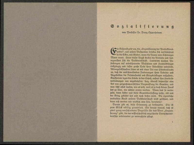 Franz Oppenheimer, "Sozialisierung", Werbedienst der deutschen sozialistischen Republik, Nr. 49