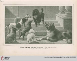 [Heft 15 (1. Mai 1897)]