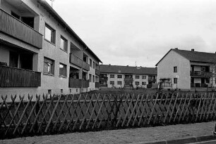 Binsenschlauchsiedlung in der Nordweststadt