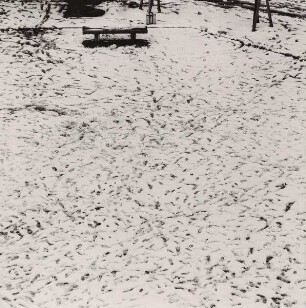 "Yard I" aus der Serie "Passing Time"