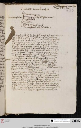 Theologische Schema, Sermo und Notate