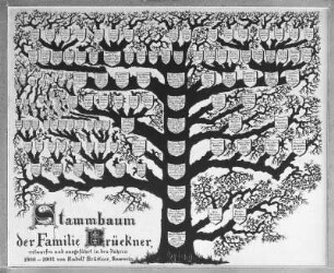 Stammbaum der Apothekerfamilie Brückner (von der Löwenapotheke in Roßwein)
