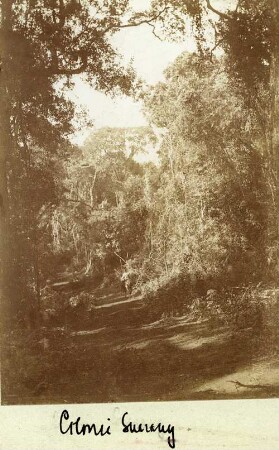 Kolonie Guarany