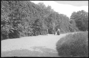 Grimma. An der Klosteruine Nimbschen
