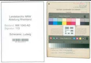 Entnazifizierung Ludwig Schwoerer , geb. 30.08.1888 (Kreisbeamter)