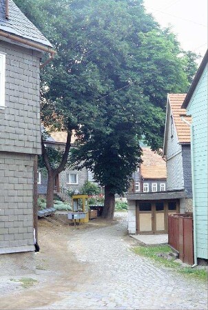 Pflastergasse, Häuser, großer Baum