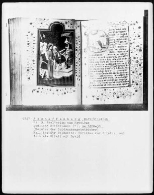 Psalterium cum Precibus — Initiale D (ixi custodiam) mit David, Folio 65recto