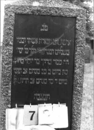 Grabstein 79 (Index: 100108193) Material: Granit, Schriftplatte aus poliertem Granit (oder Marmor?) Zustand: gesprungen Maße HxBxT: 168x48x20 cm Beschreibung: Stele mit satteldachartigem Abschluß, eingelassene Schriftplatte, Sockel: Grabstein 79A
