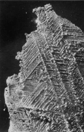 Gold in Blechform, Kristalle, Verespatak (Goldbach), Siebenbürgen, Rumänien, Sammlung der Universität Bonn