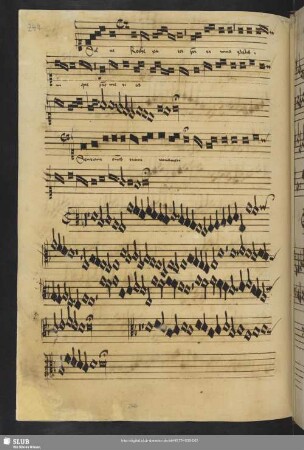 [Anon.:] Salve Roche pater