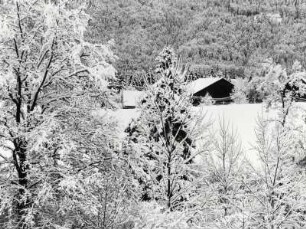 Winterlandschaft