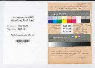 Entnazifizierung Ernst Splettstoesser, geb. 14.03.1909 (Beamter)