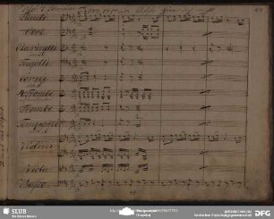 No.7 Polonaise