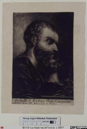 Bildnis Pietro Aretino