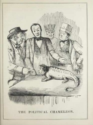 The political chameleon