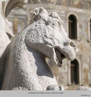 Kentaurotriton - Fontana di Nettuno