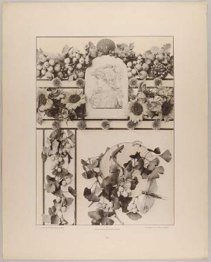 51. Festons, Fries und Vignette aus Früchten, Kugeldisteln, Sonnenblumen, Ginkgo mit Fächer, Medaillon, Eidechsen und Grashüpfer
