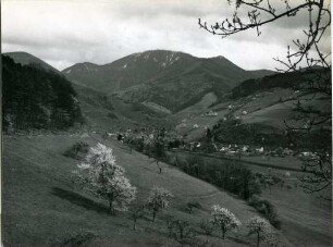 Blick zum Belchen