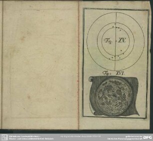Fig. XV. - Fig. XVI.