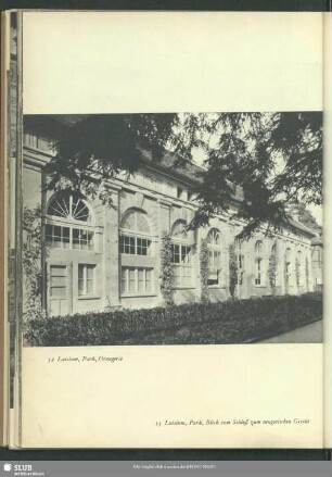 Luisium, Park, Orangerie