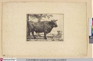 [Stehender Bulle vor einem Podest; The Bull]