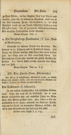 XIII. Die Furie